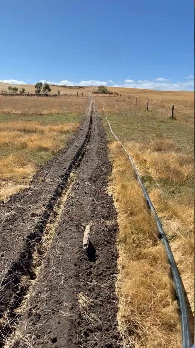 Poly pipe laid across the paddock
