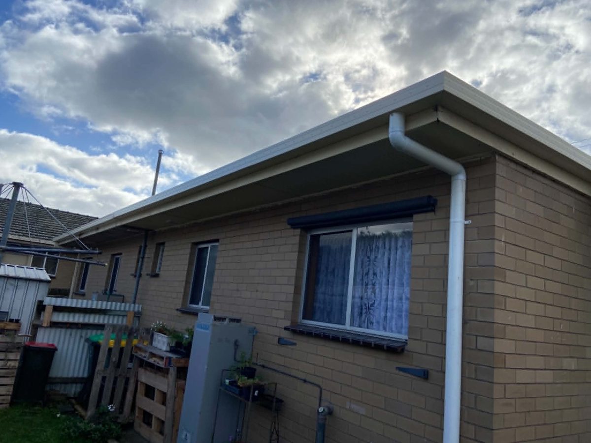 New fascia, gutter and downpipe